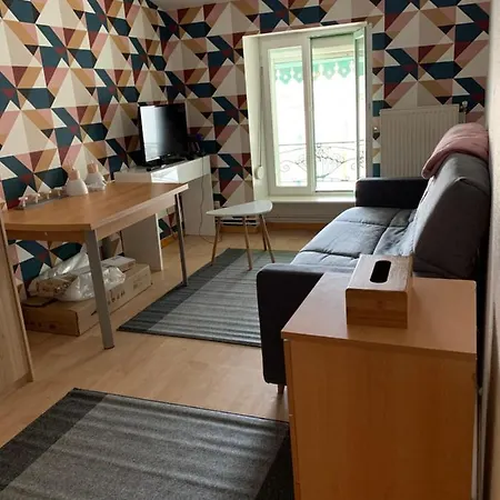 Le Saint Sauveur 24m2 默兹河畔凡尔登